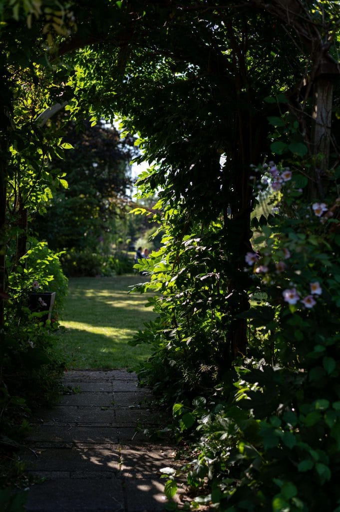 Tuinpad onder een begroeide boog in de tuin van Doyo in Lage Zwaluwe