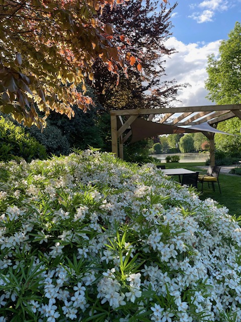 Zelfontwikkeling van binnenuit